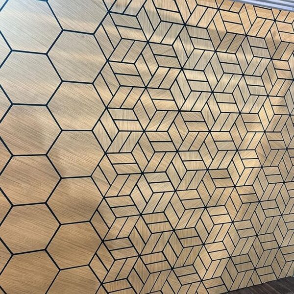 Acoustic 3D Hexic Technical Golden Teak 1767Q - Image 3